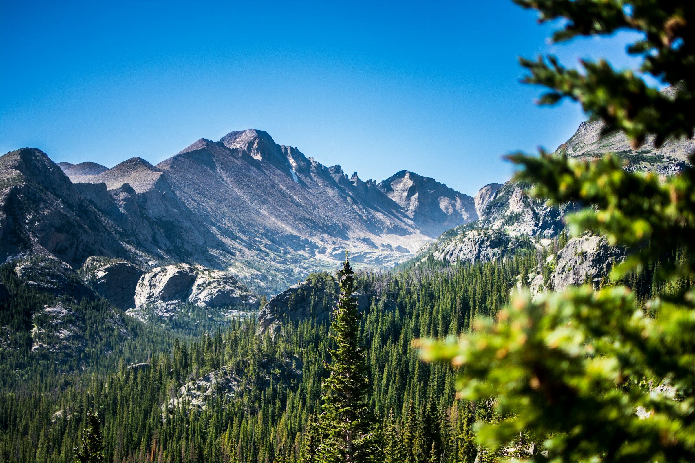 The ridgeline of Longs Peak above dark pine forest